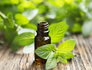 Peppermint oil